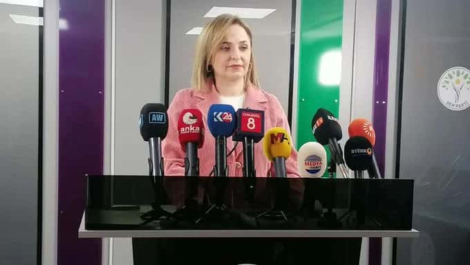 Doğan: Kürt-Türk kardeşliği raporda dar kalıplarla ifade ediliyor
