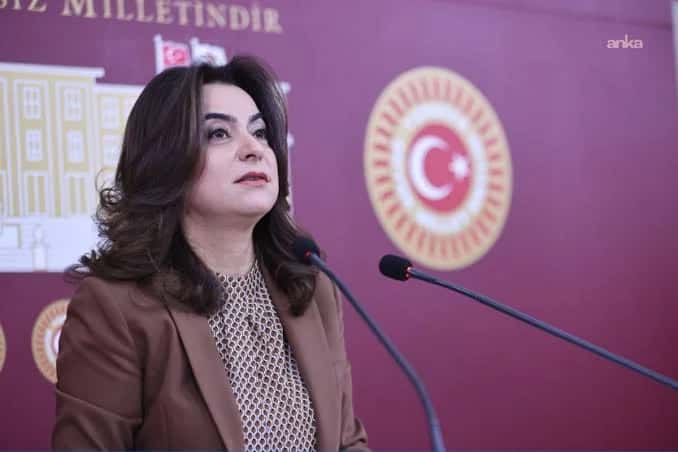 Gülistan Kılıç Koçyiğit: Taslak rapora itirazlarımız var